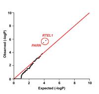 Exome Sequencing Links Mutations in PARN and RTEL1 with Familial Pulmonary Fibrosis and Telomere Shortening